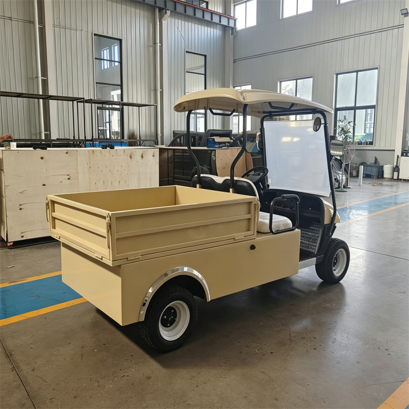 2座+货斗 米色 golf cart 800 (7).png